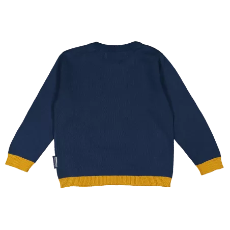 Pull Tricot Enfant Pingouin