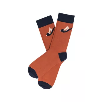 Boîtes lot de chaussettes coton bio