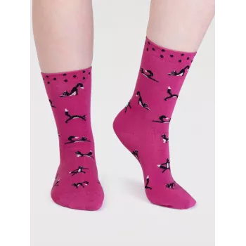 Chaussettes éco-responsables chats en viscose de bambou