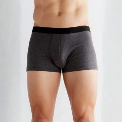 Boxer "TRUNK" - 95% coton bio - GOTS