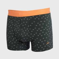 Boxer coton bio BILLYBELT, Poisson vert