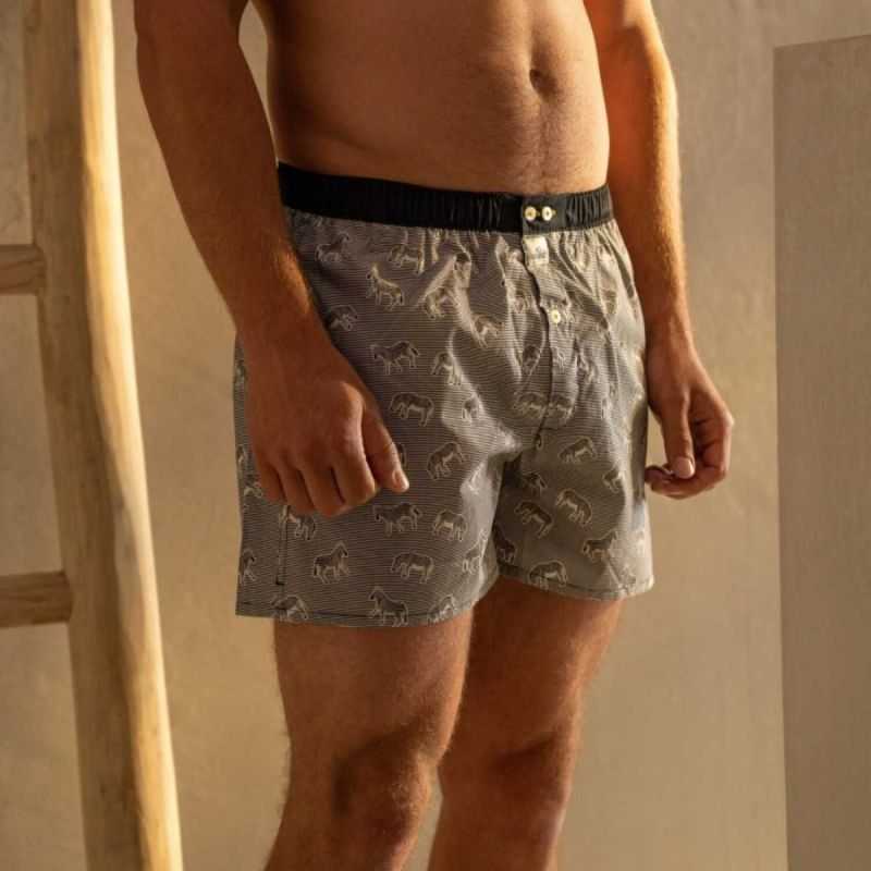 Caleçon "SEREGENTI" motif zèbre - 100% Coton bio - GOTS