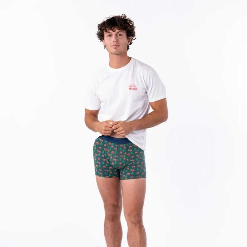 Boxer "KINAI" motif ours brun - 95% Coton bio - GOTS