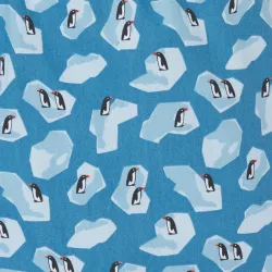 Caleçon "PINGOUIN" - 100% Coton biologique - GOTS