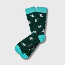 Chaussettes "Koala" - Coton bio
