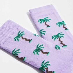 Chaussettes "Palmier" - Coton bio