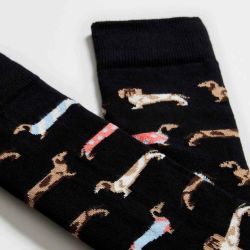 Chaussettes "Chiens Saucisses" - Coton bio