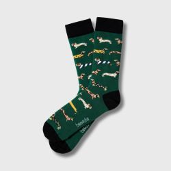 Chaussettes "Chiens Saucisses" - Coton bio