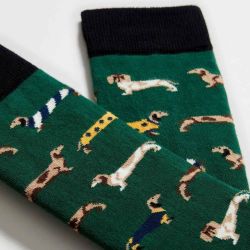 Chaussettes "Chiens Saucisses" - Coton bio