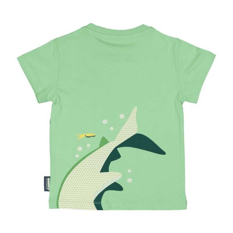 T-shirt manches courtes "REQUIN MARTEAU" - 100% Coton bio