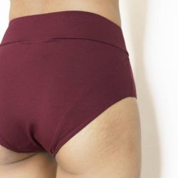 Culotte taille haute "NAM" - Coton bio