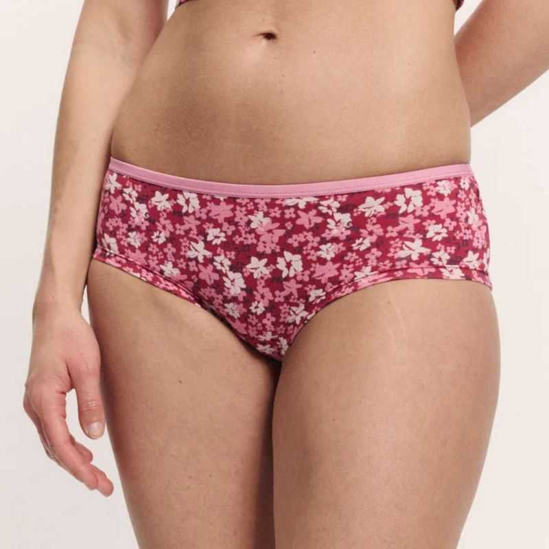 Culotte bikini "GAABY" - Coton bio