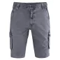 Bermuda cargo, short bio Bermuda cargo, short bio