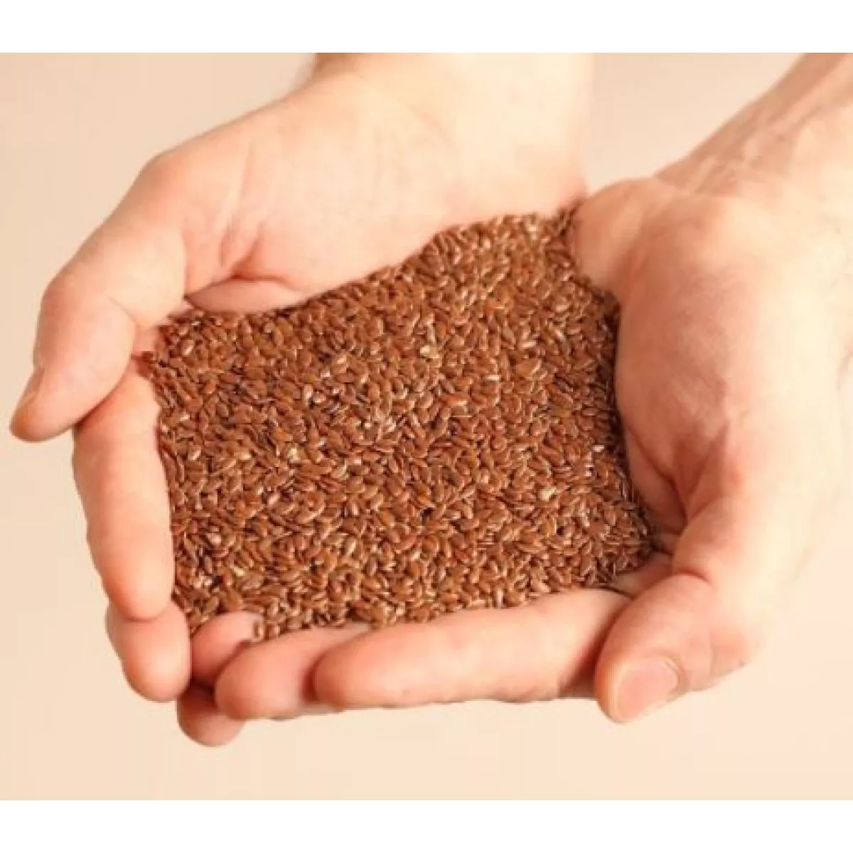 Bouillotte de lin de Miss Bennet